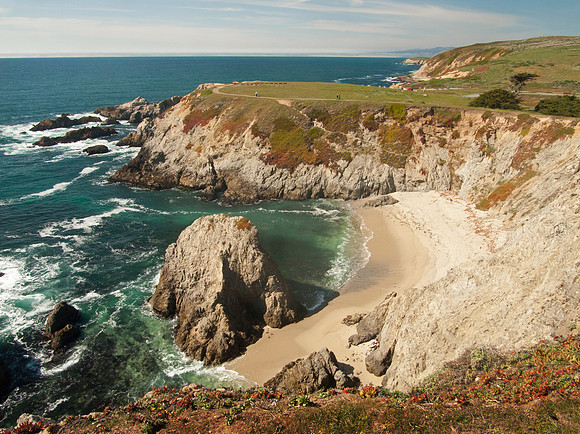 Bodega Head
