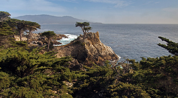 Lone Cypress, Carmel