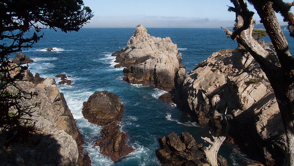 Point Lobos