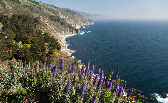 View from Highway 1, Big Sur