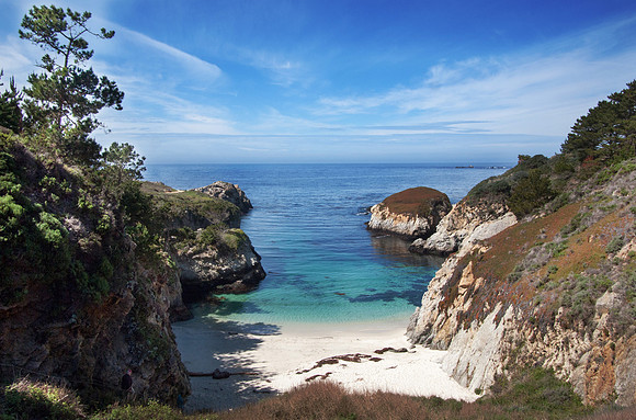 Point Lobos