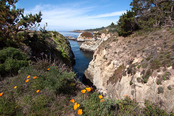 Point Lobos
