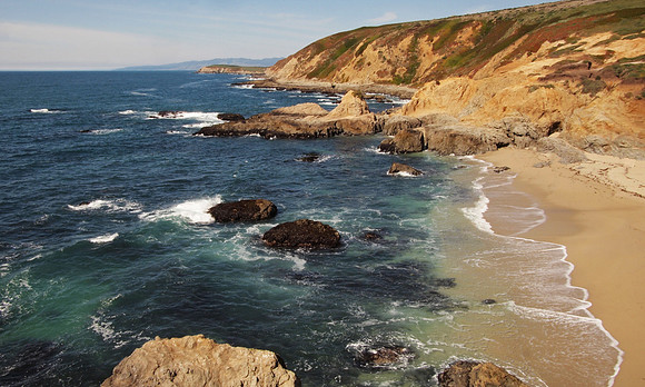 Bodega Head