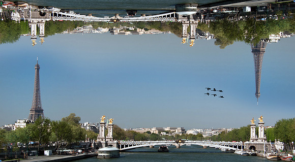 Canada Geese in Paris
