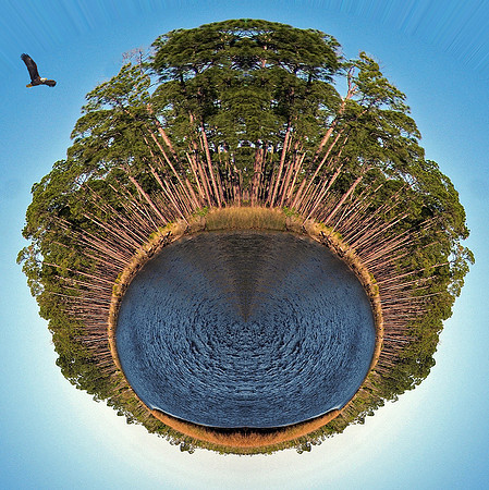 Small Planet