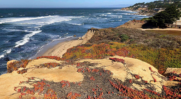 Above Moss Beach near Half Moon Bay